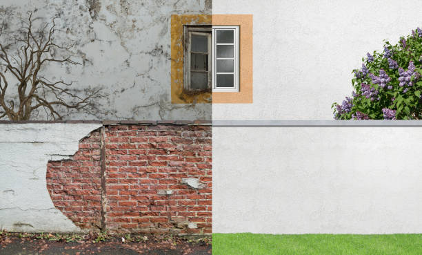 Best Real Estate Mold Inspection  in West End Cobb Town, AL